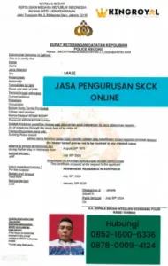 jasa-pengurusan-skck-online